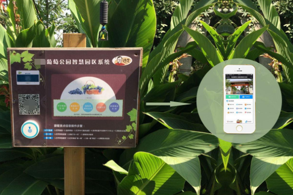 導(dǎo)覽系統(tǒng)二維碼放置 智慧景區(qū)導(dǎo)覽系統(tǒng)二維碼放置