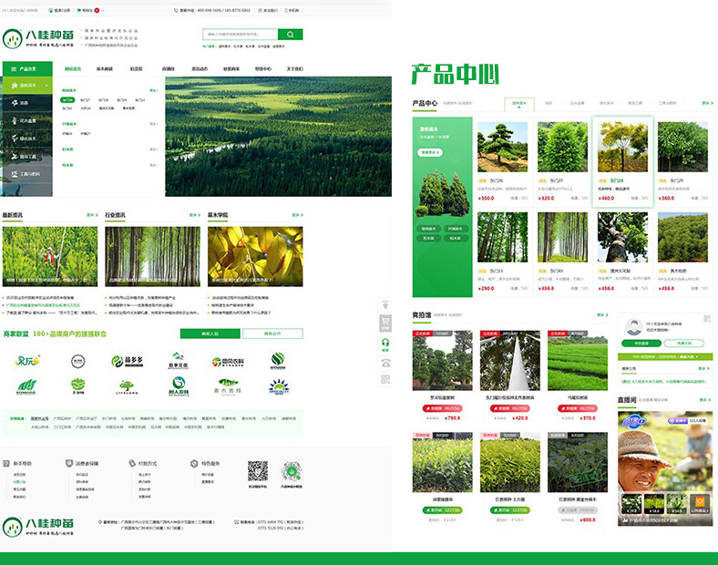 廣西商城定制開(kāi)發(fā) 八桂種苗商城展示