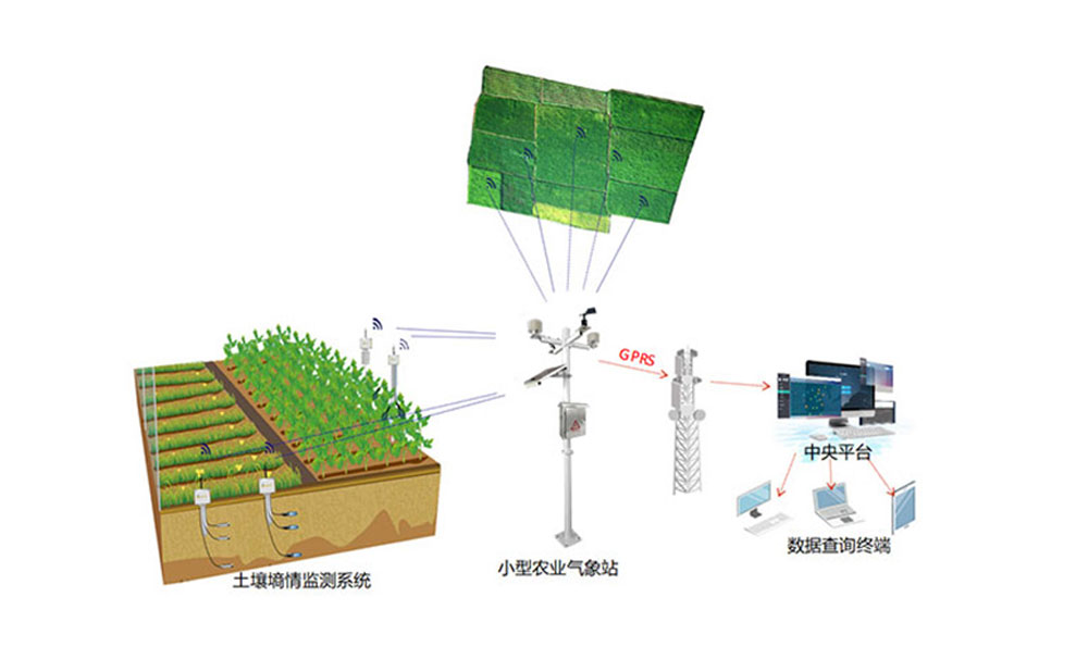 智慧農(nóng)業(yè)小型氣象監(jiān)測(cè)站 智慧農(nóng)業(yè)氣象監(jiān)測(cè)